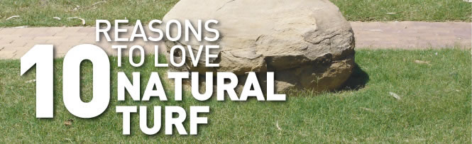 10 Reasons to love natural turf