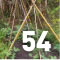 Vegies - Climbing Vegetables