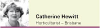 Catherine Hewitt