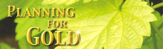 Planning for Gold Planning for Gold