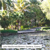 Lake MacDonald Botanic Gardens, Cooroy