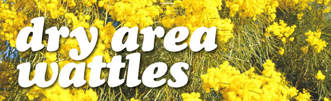 Dry Area Wattles