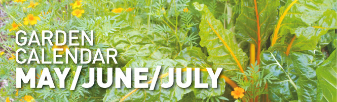 Garden Calendar