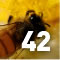 Vanishing Bees