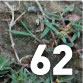 Turf &ndash; Turfgrass Cover
