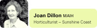 Joan Dillon