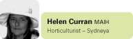 Helen Curran