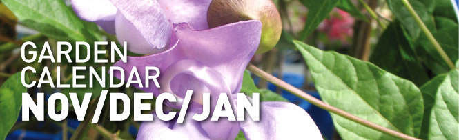 Garden Calendar
