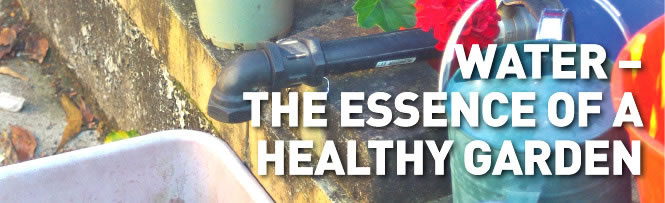 Water – The Essence of a Healthy Garden Water – The Essence of a Healthy Garden