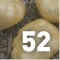 Vegies - Yam Bean, Jicama