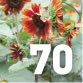 Garden Calendar - NOV / DEC / JAN