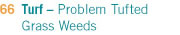 Turf - Problem Tufted Weeds