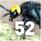 Predators and Parasites