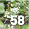 Vegies - Rocket
