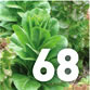 Garden Calendar - NOV / DEC / JAN