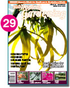 Issue 29